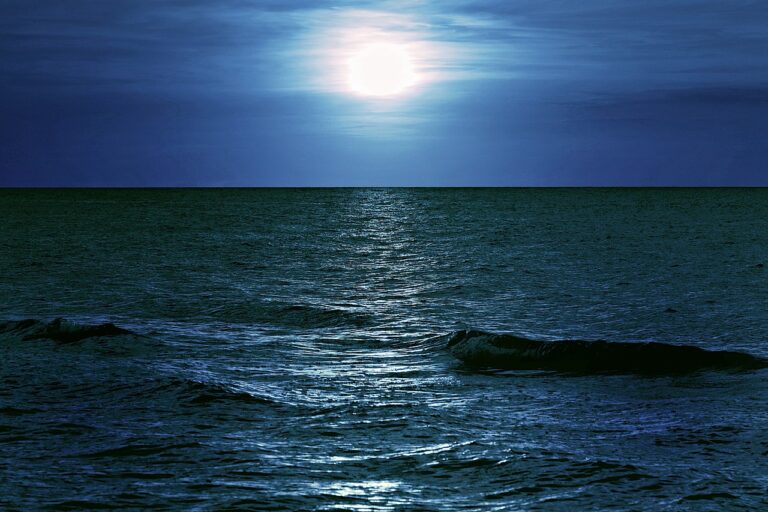 sea, night, moon-2927115.jpg